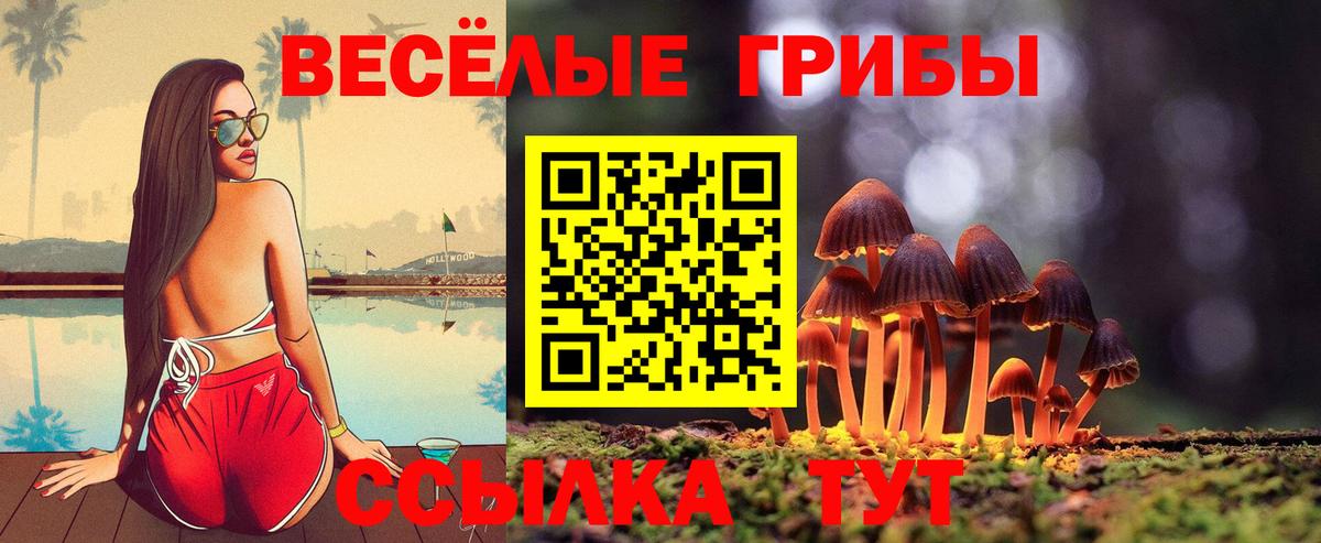Псилоцибиновые грибы ЛСД Буйнакск