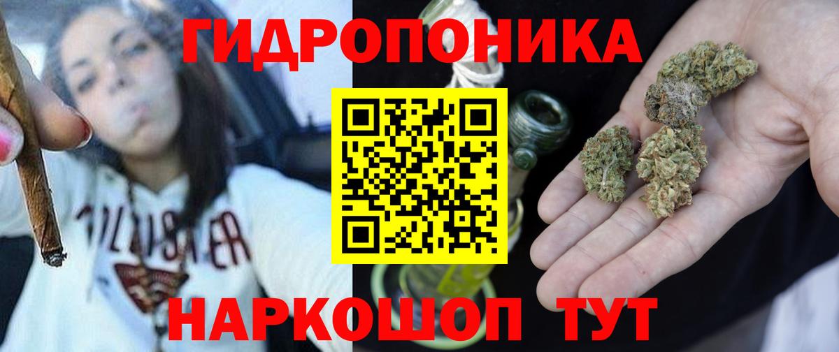 Каннабис индика  Марихуана сатива  Шишки марихуана марихуана  Бошки Шишки ГИДРОПОН  Буйнакск  Вход с VPN 